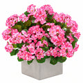Pianta Artificiale di Begonia Rosa in Vaso di Cemento