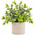 Pianta Artificiale Decorativa Verde in Vaso, Altezza 30 cm